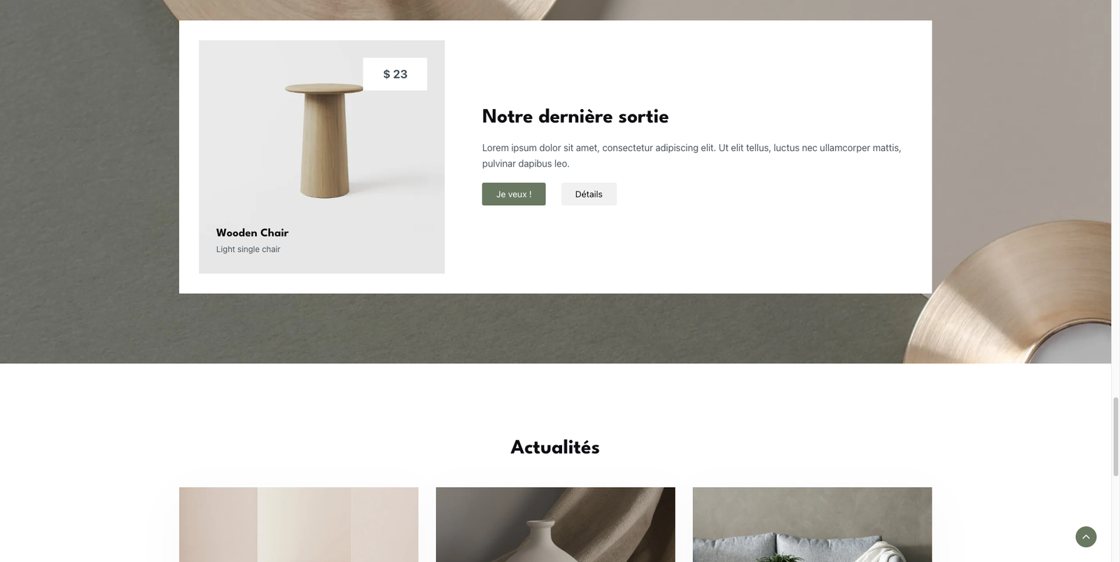 site e-commerce évolutif mobilier creation artiste accessoire