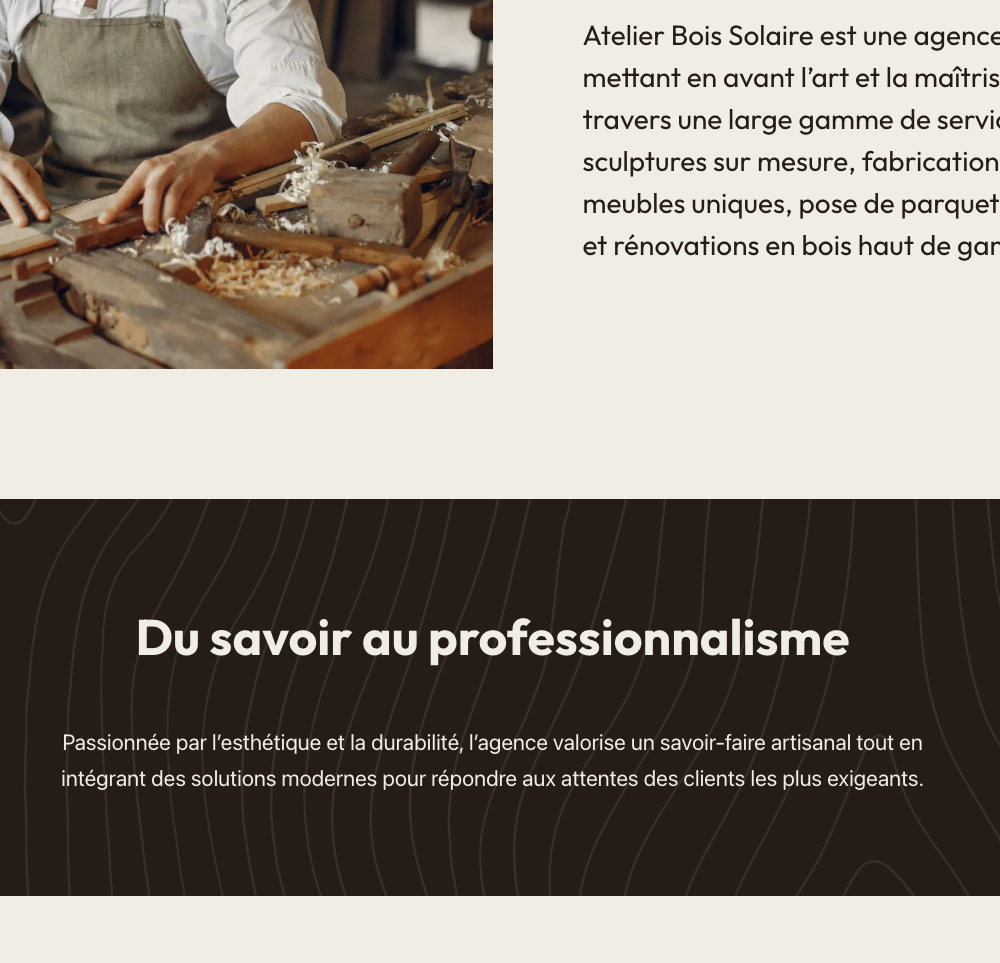 site vitrine,site artisan